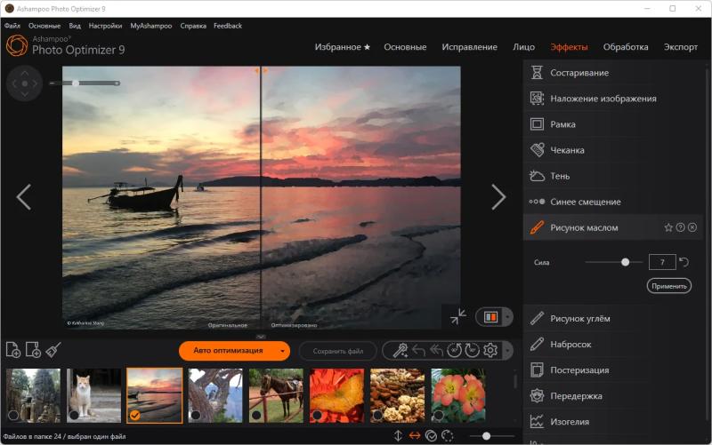 Ashampoo Photo Optimizer 9 – бесплатная лицензия (пожизненная)