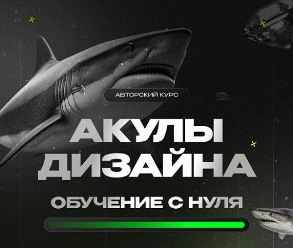 Акулы дизайна, обучение с нуля. Видеокурс (2024)