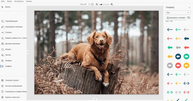Ashampoo Snap 16 – бесплатная лицензия (пожизненная)